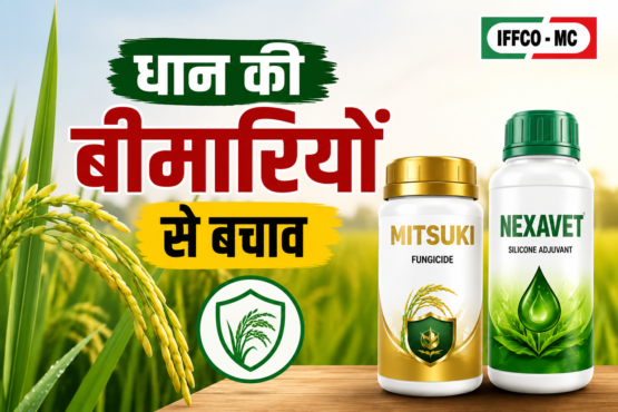 Dhan Ki Bimari Se Bachav Ke Liye Sabse Achha Fungicide