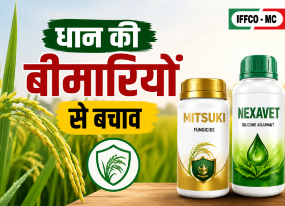Dhan Ki Bimari Se Bachav Ke Liye Sabse Achha Fungicide