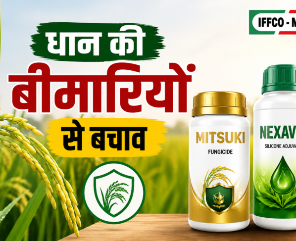 Dhan Ki Bimari Se Bachav Ke Liye Sabse Achha Fungicide