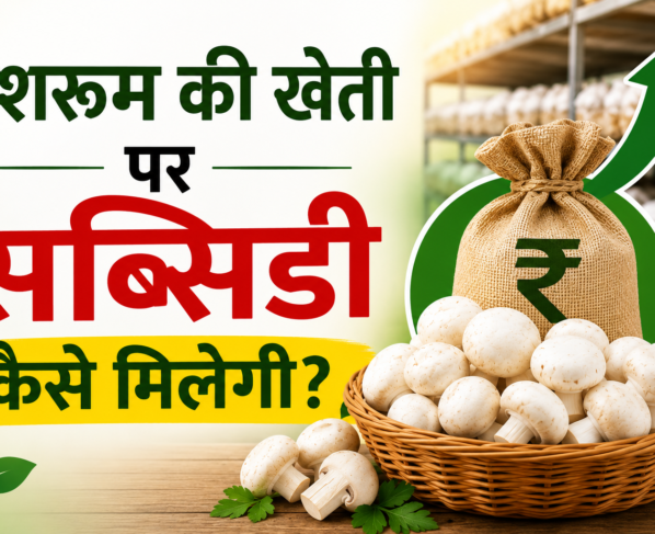 Mushroom Ki Kheti Par Subsidy Kaise Milegi