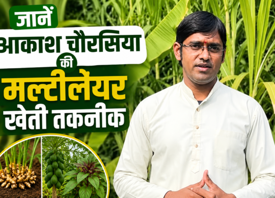 Success Story of Multilayer Farming Aakash Chaurasia in MP