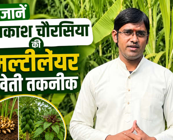 Success Story of Multilayer Farming Aakash Chaurasia in MP