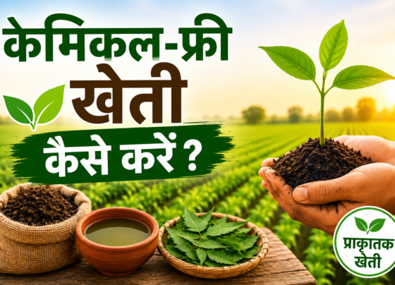 Chemical-Free Kheti Kaise Karein