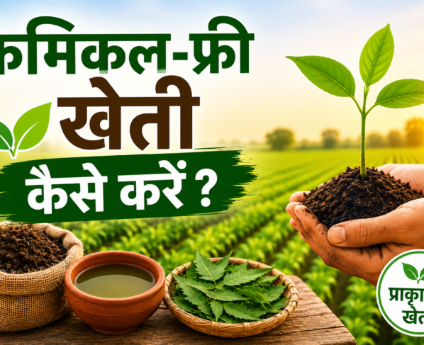 Chemical-Free Kheti Kaise Karein