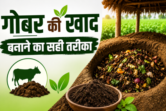 Gobar Ki Khaad Banane Ka Sahi Tarika