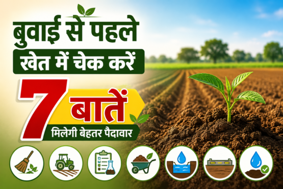 Buvai Se Pehle Khet Mein Kya Karein