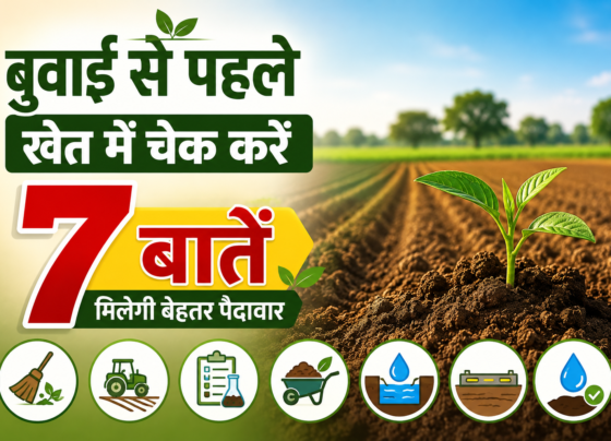Buvai Se Pehle Khet Mein Kya Karein