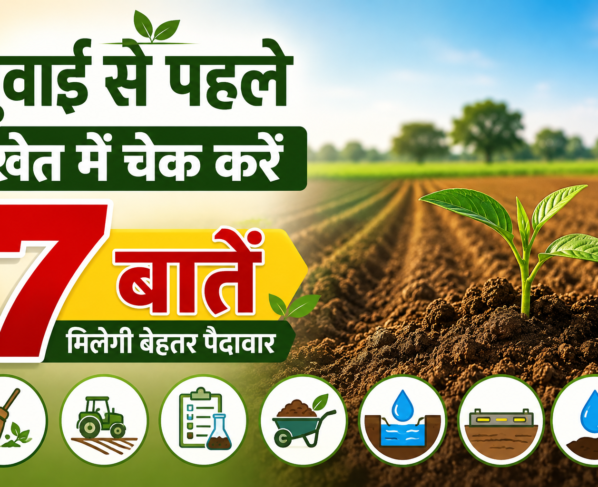 Buvai Se Pehle Khet Mein Kya Karein