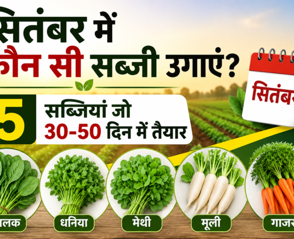 September Mein Kaun Si Sabzi Ugaye