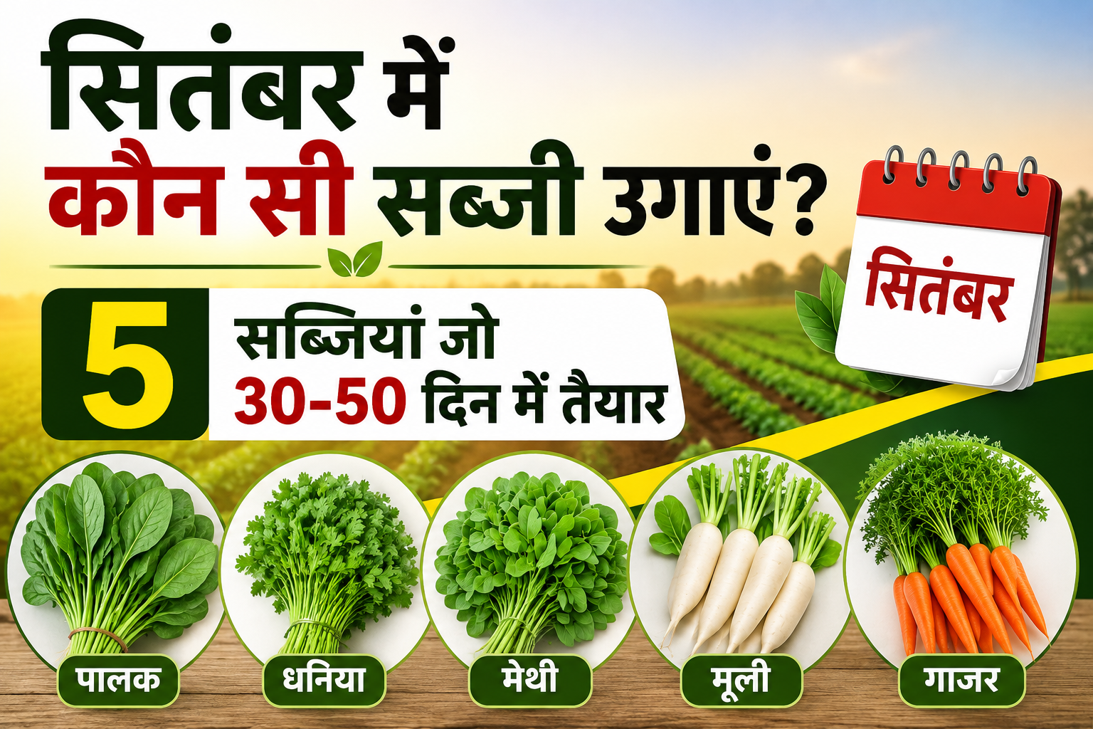 30-50 दिनों में तैयार होंगी ये 5 सब्जियां September Mein Kaun Si Sabzi Ugaye