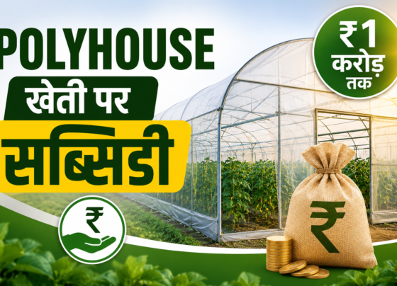Polyhouse Kheti Par Subsidy Kaise Milegi?