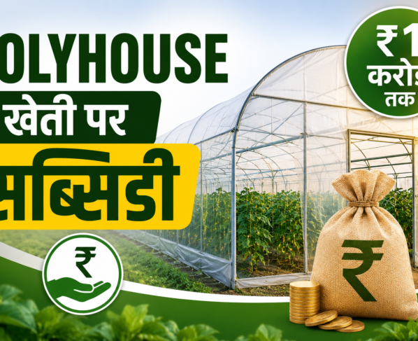 Polyhouse Kheti Par Subsidy Kaise Milegi?