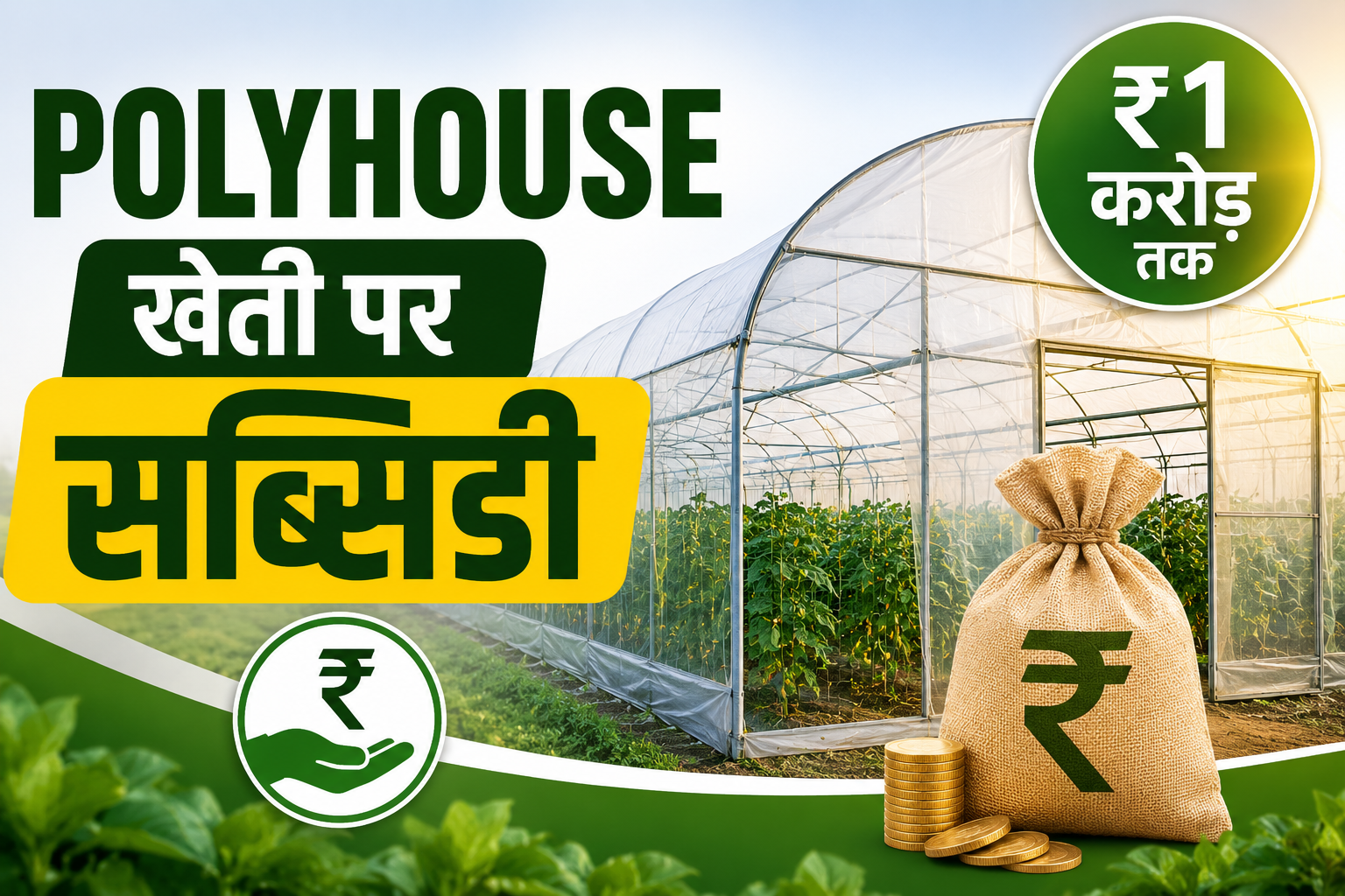 पॉलीहाउस सब्सिडी लेने से पहले इन बातों का रखें ध्यान और आवेदन कहां करें? Polyhouse Kheti Par Subsidy Kaise Milegi?