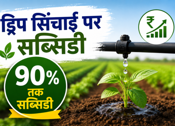 Drip Sinchai Par Subsidy Kaise Milegi