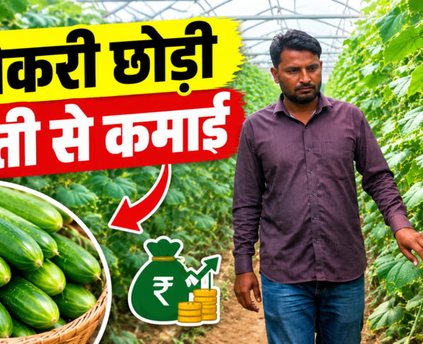 Success Story of Polyhouse Farming Shakir Khan in Rajasthan