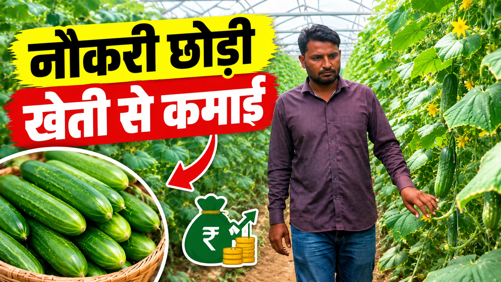 नौकरी छोड़ी, पॉलीहाउस में खीरे की खेती से बने लखपति किसान, शाकिर खान की सफलता की कहानी Success Story of Polyhouse Farming Shakir Khan in Rajasthan