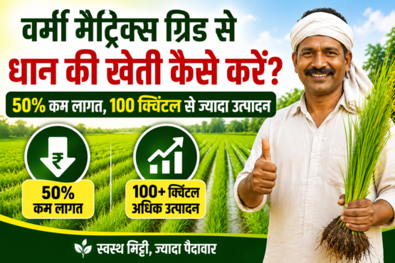 Vermi Matrix Grid Se Dhan Ki Kheti Kaise Kare