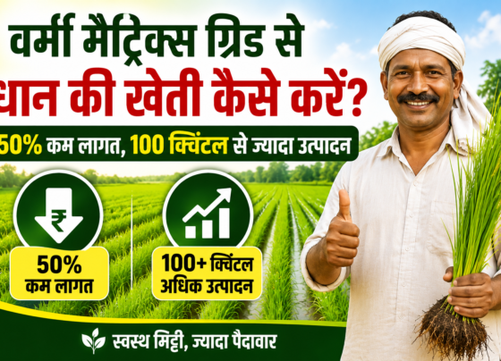 Vermi Matrix Grid Se Dhan Ki Kheti Kaise Kare