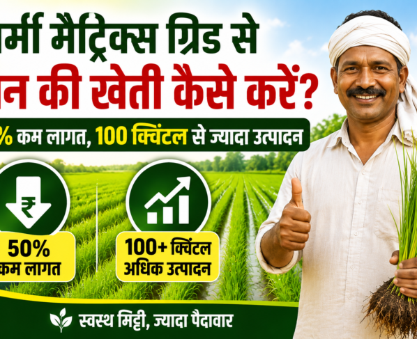 Vermi Matrix Grid Se Dhan Ki Kheti Kaise Kare
