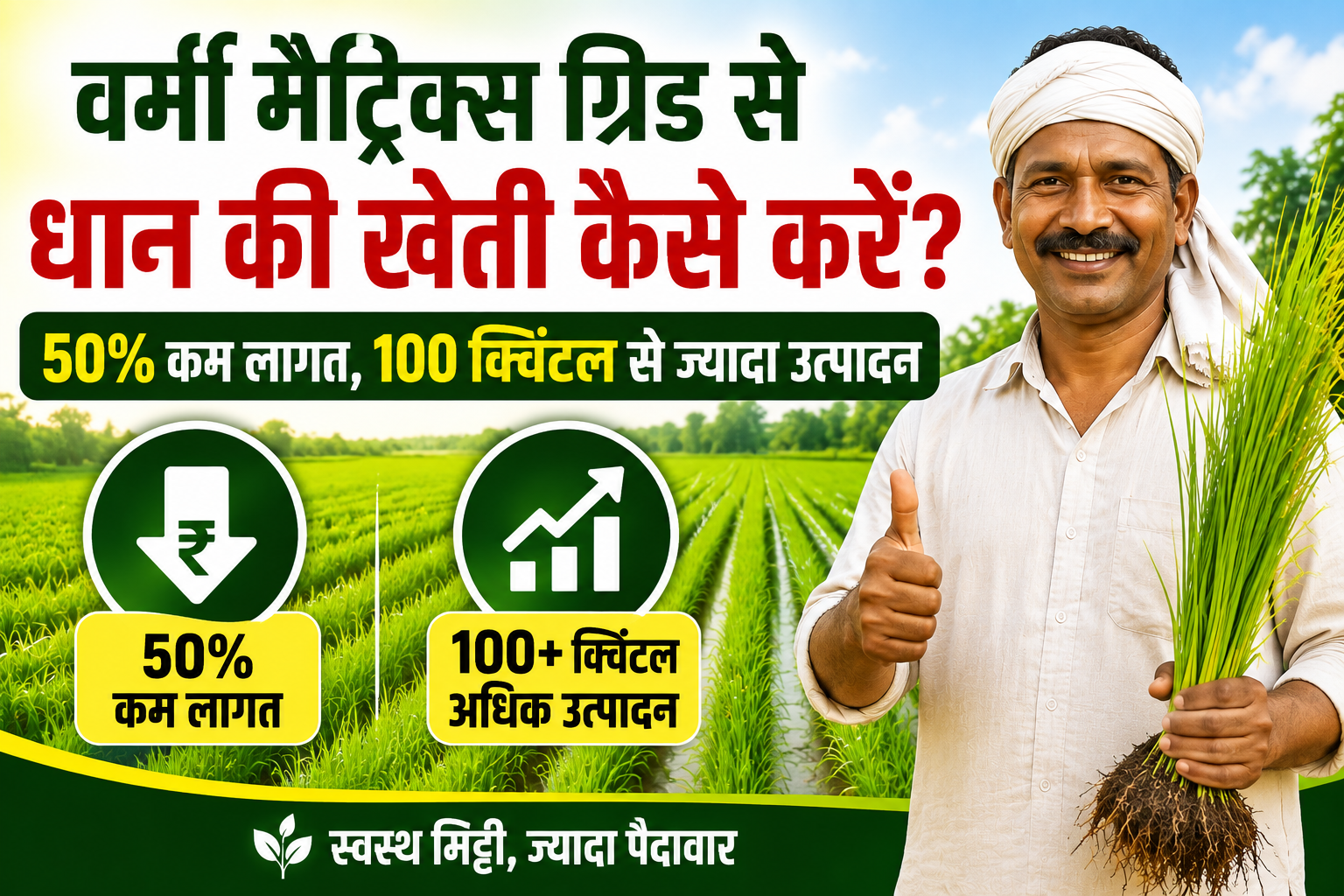 50% तक घट सकती है लागत, 100 क्विंटल से अधिक मिल सकता है उत्पादन Vermi Matrix Grid Se Dhan Ki Kheti Kaise Kare