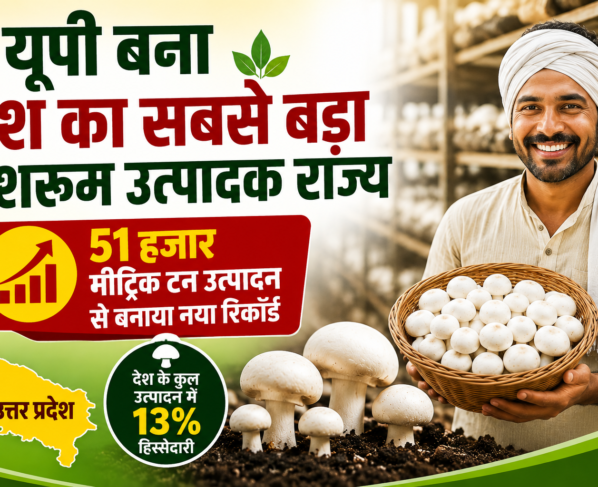 UP Me Mushroom Utpadan