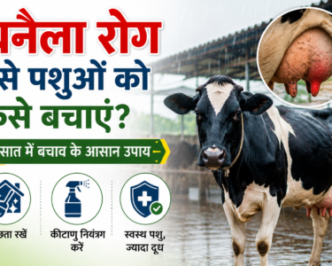 Thanaila Rog Se Pashuon Ko Kaise Bachayein