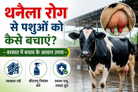 Thanaila Rog Se Pashuon Ko Kaise Bachayein