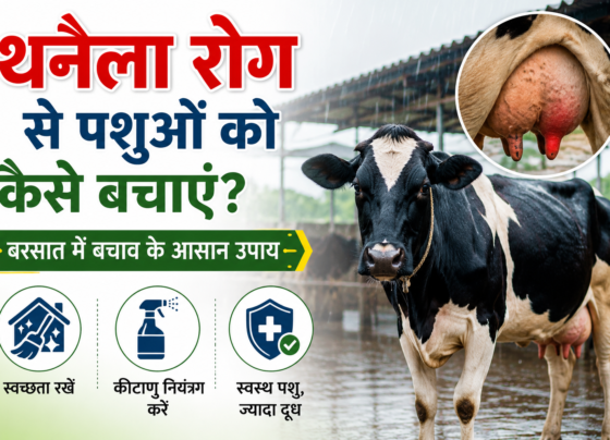 Thanaila Rog Se Pashuon Ko Kaise Bachayein