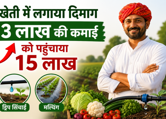 Sumer Singh Farming Success Story in Jodhpur