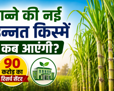 Ganne Ki Nai Unnat Kisme Kab Aayegi?