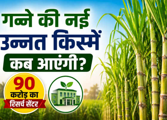 Ganne Ki Nai Unnat Kisme Kab Aayegi?