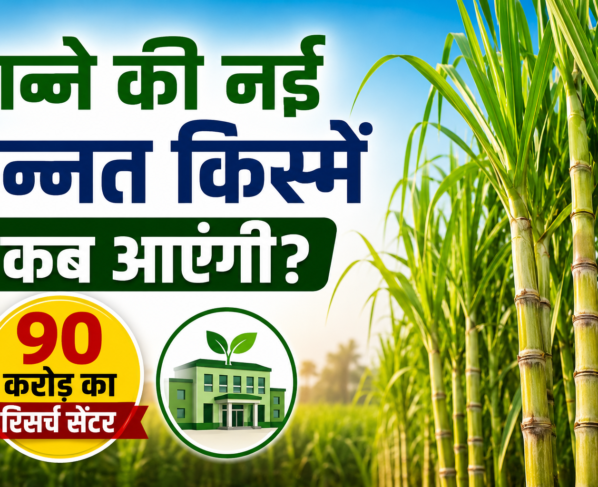 Ganne Ki Nai Unnat Kisme Kab Aayegi?