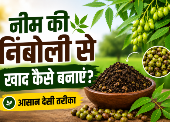Neem Ki Nimbolee Se Khad Kaise Banaye