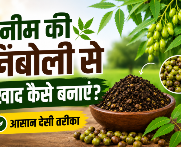 Neem Ki Nimbolee Se Khad Kaise Banaye