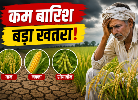 Kharif Fasal Par Kam Barish Ka Khatra