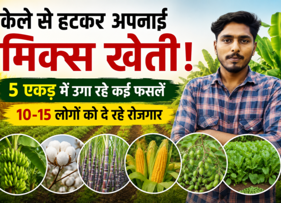 Bhushan Mahale Mix Farming Success Story in Burhanpur