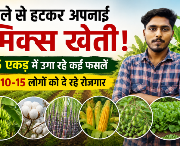 Bhushan Mahale Mix Farming Success Story in Burhanpur