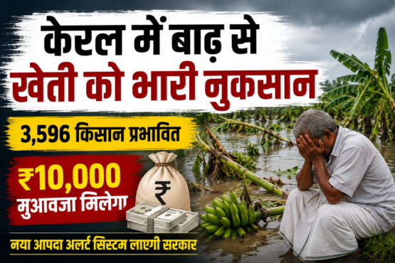 Kerala Me Baadh Se Kheti Ka Nuksan