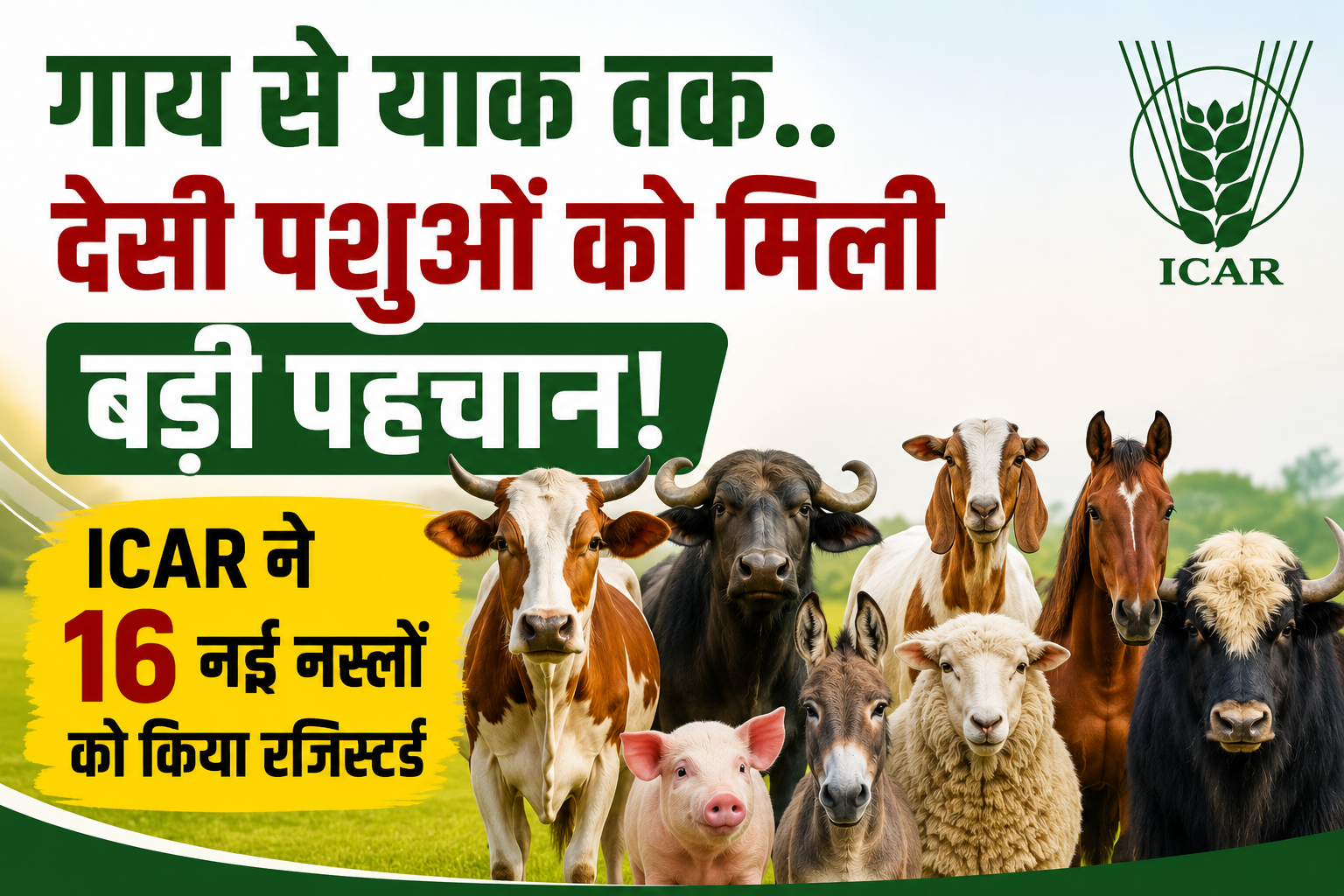 गाय से याक तक नई नस्लों को मिली पहचान, पशुपालकों और रिसर्च को मिलेगा फायदा ICAR Ki 16 Nai Desi Pashudhan Naslein