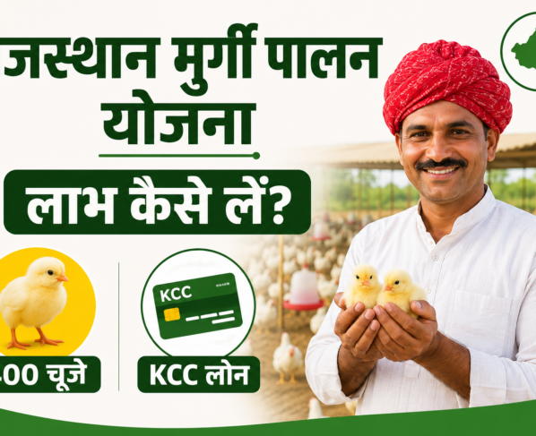 Rajasthan Murgi Palan Yojana Ka Labh Kaise Lein