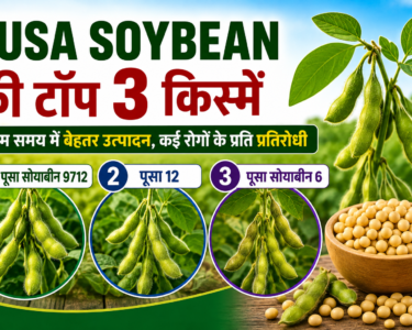 Pusa Soybean Ki Top 3 Kisme Konsi Hai?