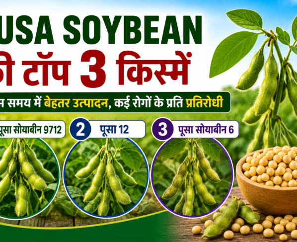 Pusa Soybean Ki Top 3 Kisme Konsi Hai?