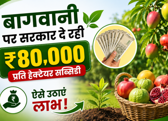 Bagwani Subsidy 80000 Rupaye Per Hectare Kaise Milegi