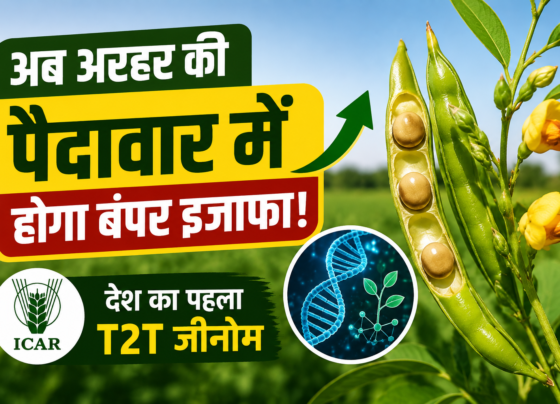 Arhar Ki T2T Genome Se Pedaavar Kaise Badhegi?