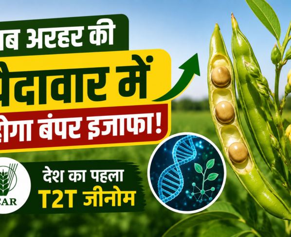 Arhar Ki T2T Genome Se Pedaavar Kaise Badhegi?
