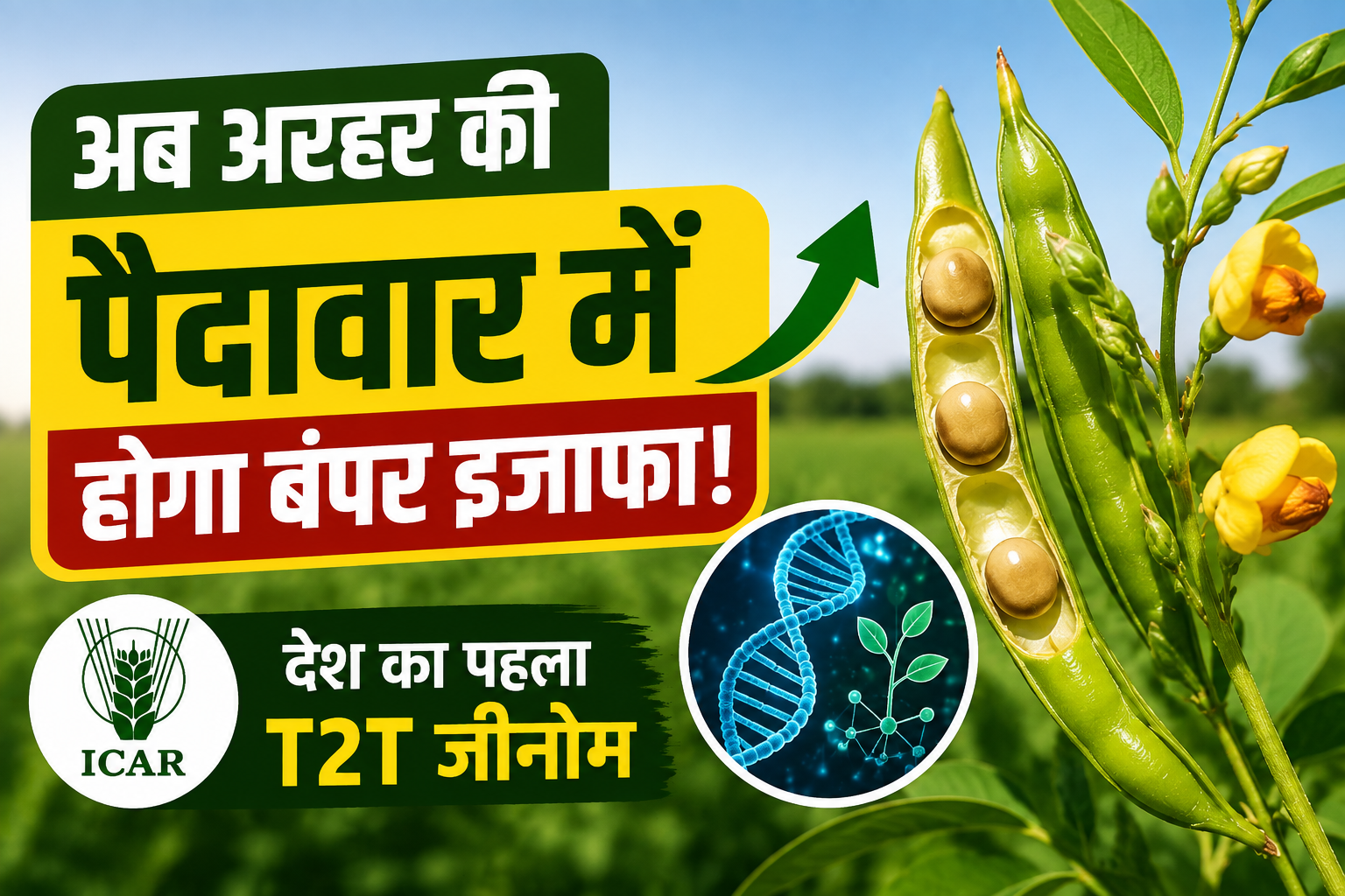 अब अरहर की पैदावार में होगा बंपर इजाफा! ICAR ने तैयार किया देश का पहला T2T जीनोम Arhar Ki T2T Genome Se Pedaavar Kaise Badhegi?
