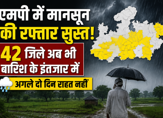 MP Weather Today