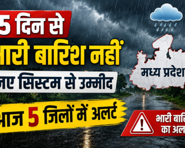 MP Weather Today