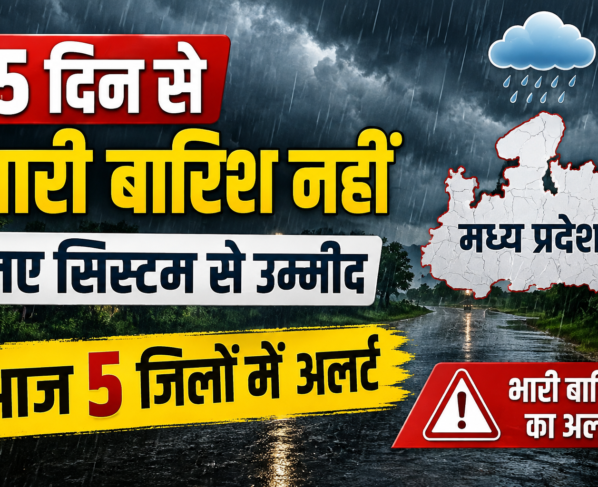 MP Weather Today