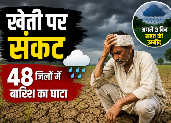 MP Weather Today